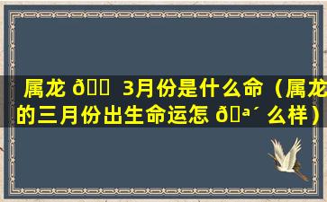 属龙 🐠 3月份是什么命（属龙的三月份出生命运怎 🪴 么样）